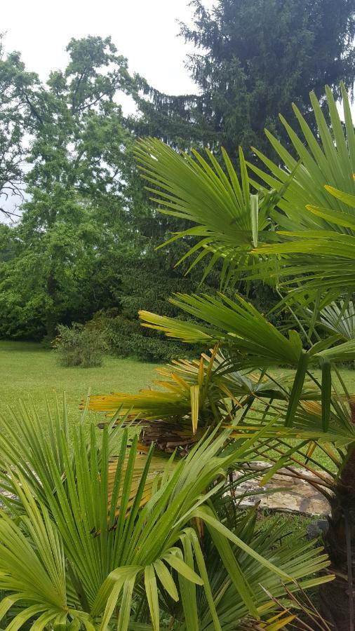 Bretagne-de-Marsan La Belle Chaumiere B&B 외부 사진